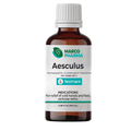 Aesculus