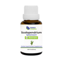 Scolopendrium