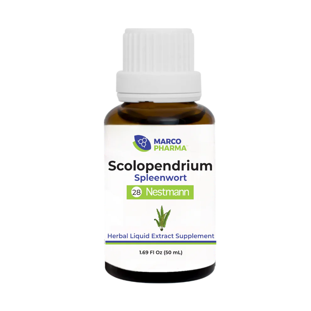 Scolopendrium
