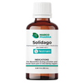 Solidago