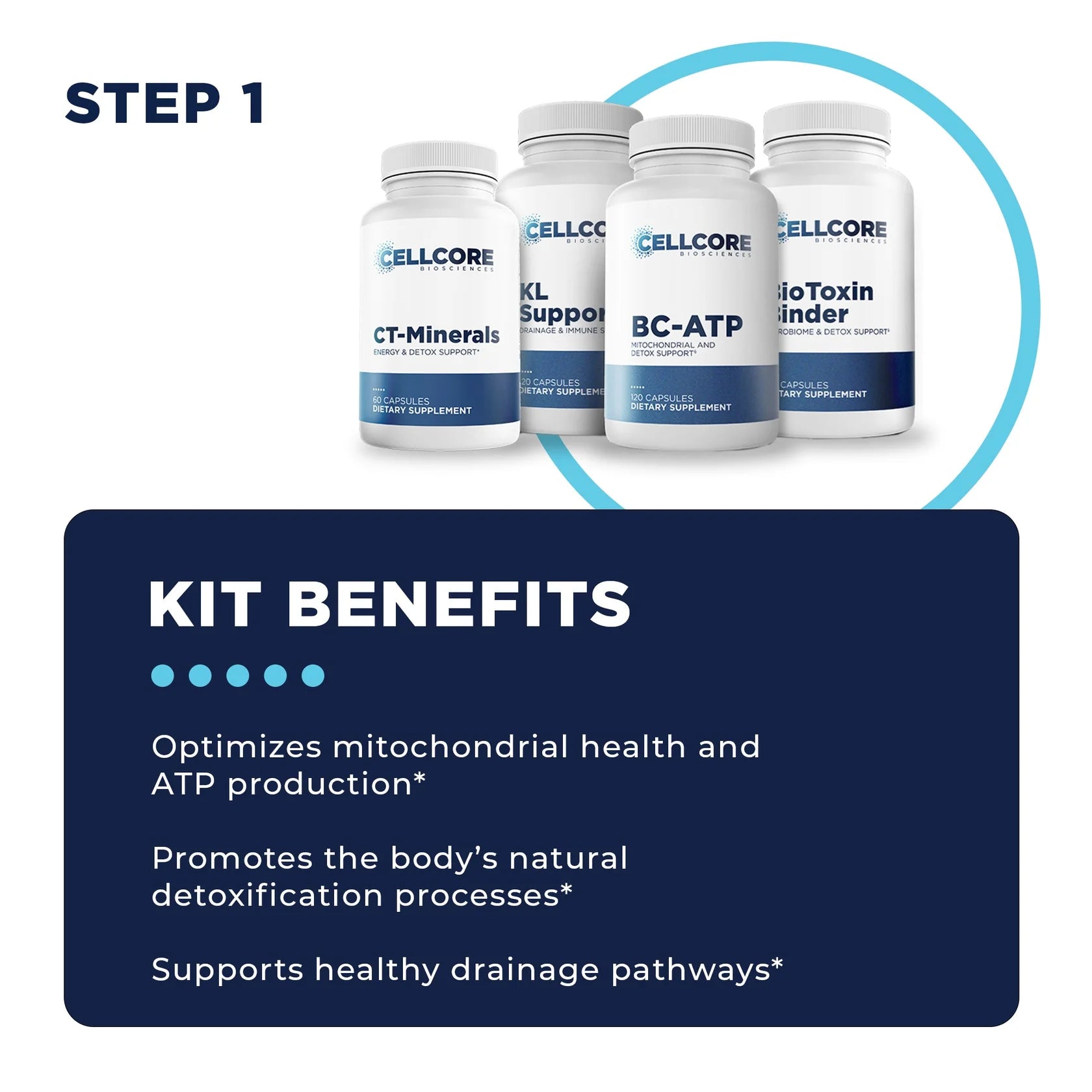 Foundational Protocol: Step 1