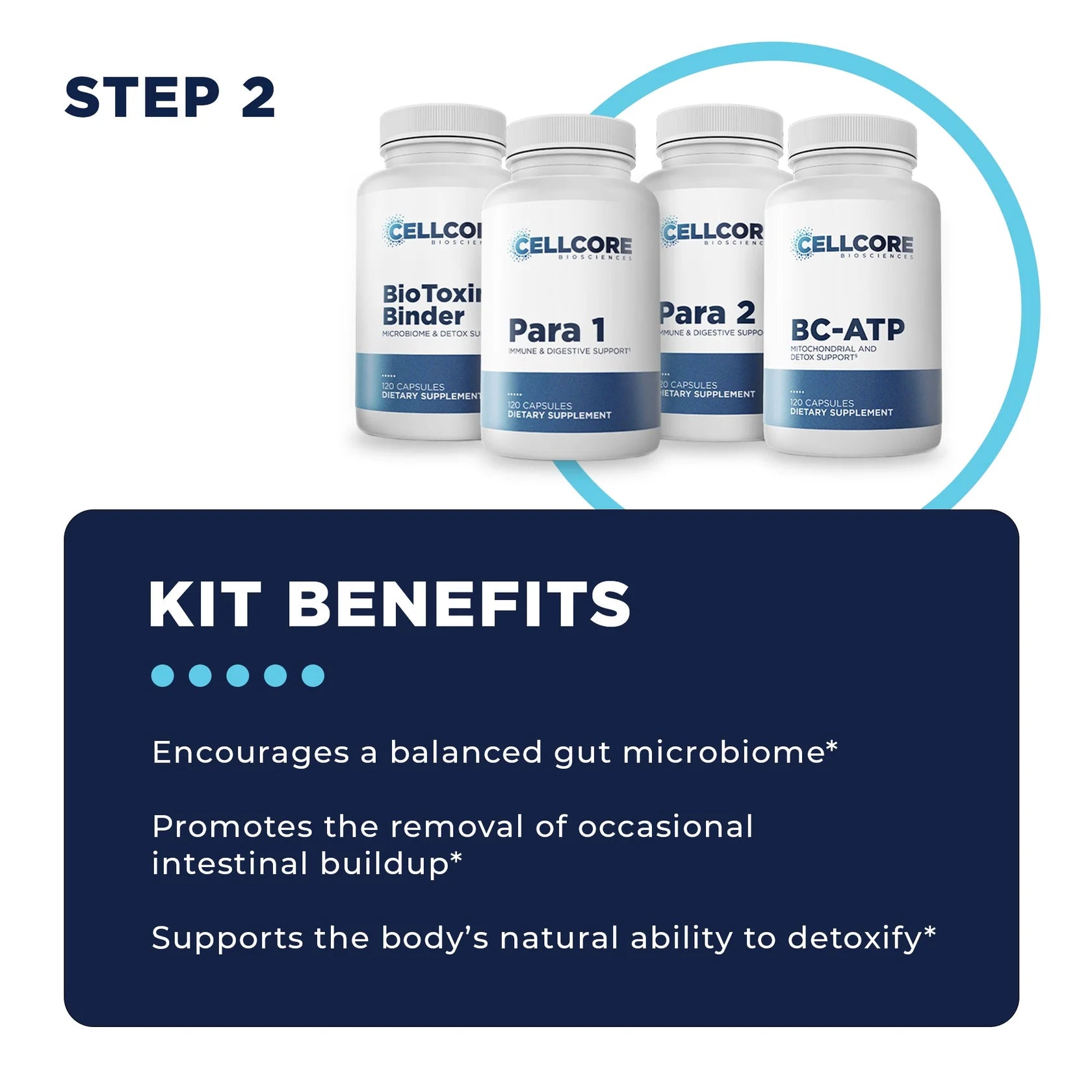 Foundational Protocol: Step 2