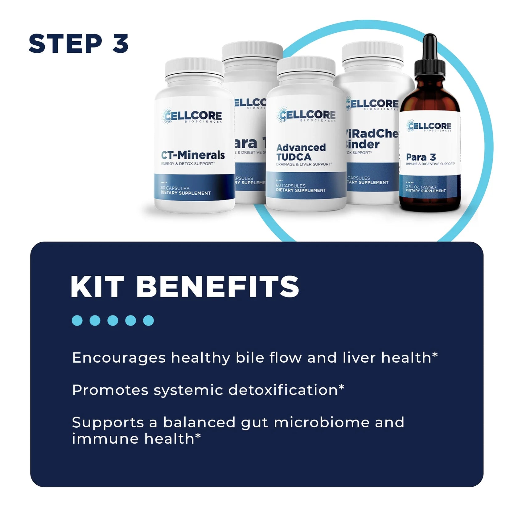 Foundational Protocol: Step 3