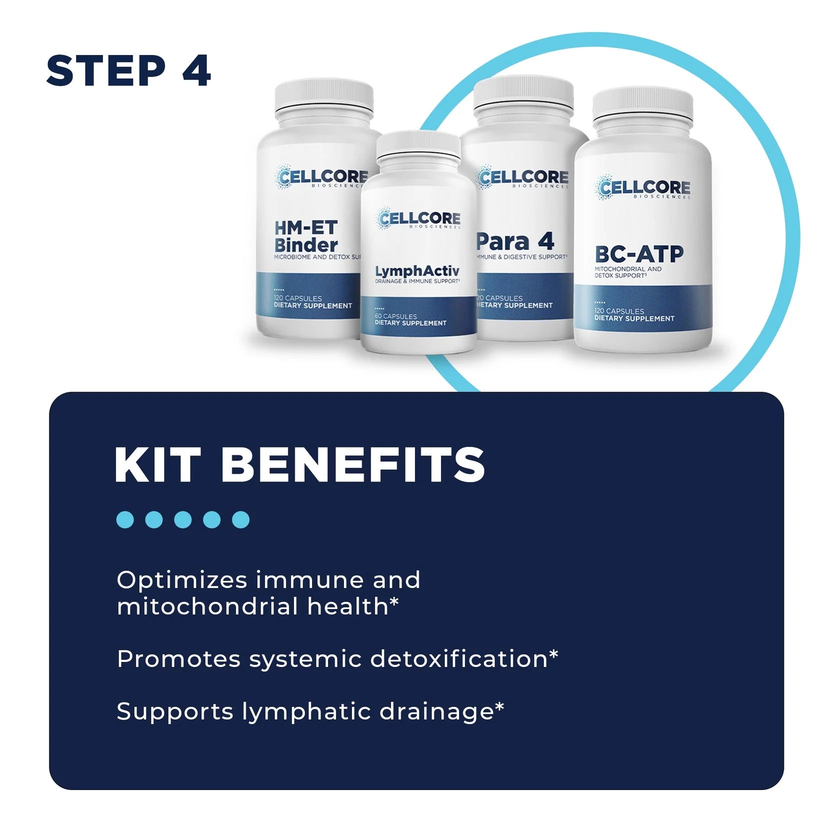 Foundational Protocol: Step 4