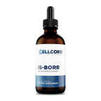 IS-BORR